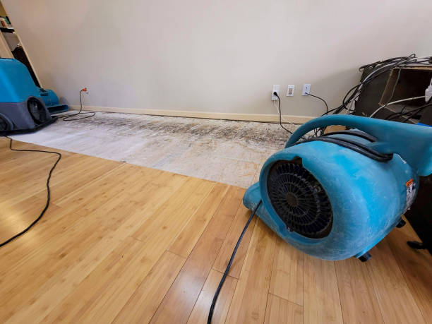 Professional Burst Pipe Water Damage technician working in Afton, OK